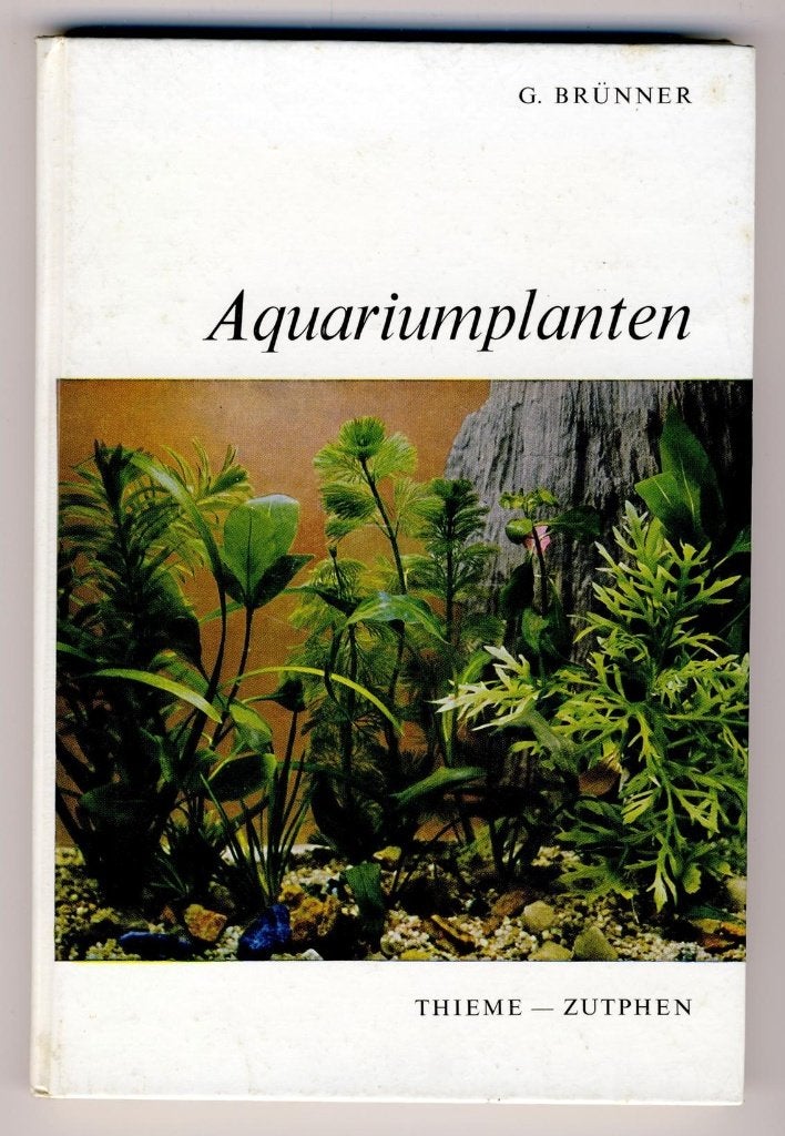 Aquariumplanten - G. Brunner, Ophalen, Plant(en), Steen of Hout