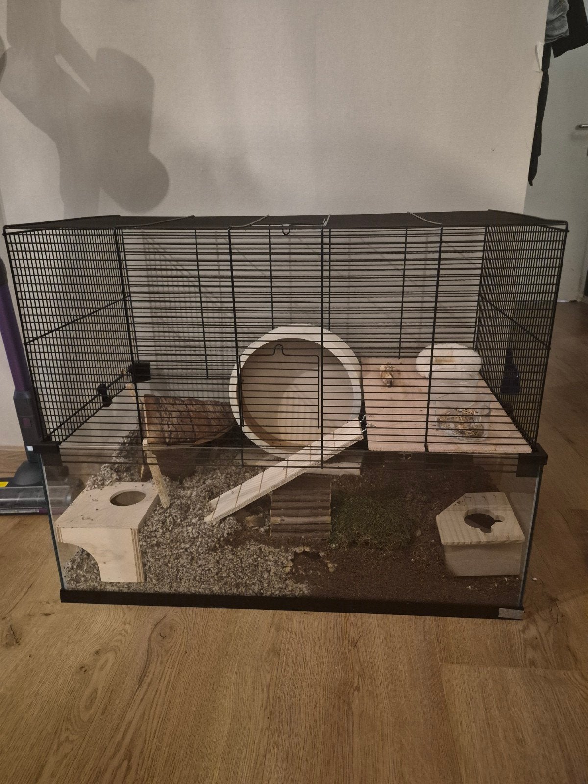 Nieuwe hamsterkooi met goudhamster, Dieren en Toebehoren, Knaagdieren en Konijnen | Hokken en Kooien, Kooi, Minder dan 75 cm, Zo goed als nieuw