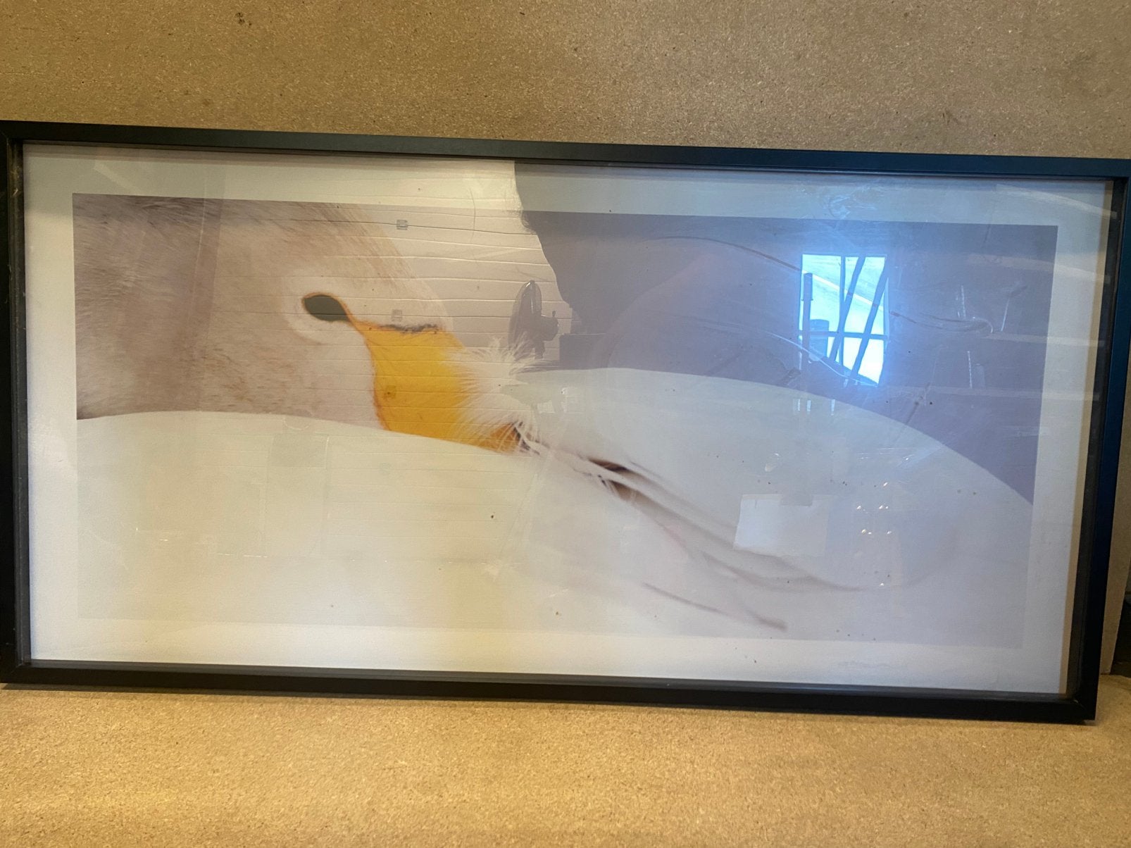 Schilderij met vogel, 116 x 59 x 3,5 cm, Ophalen of Verzenden, Zo goed als nieuw, Print