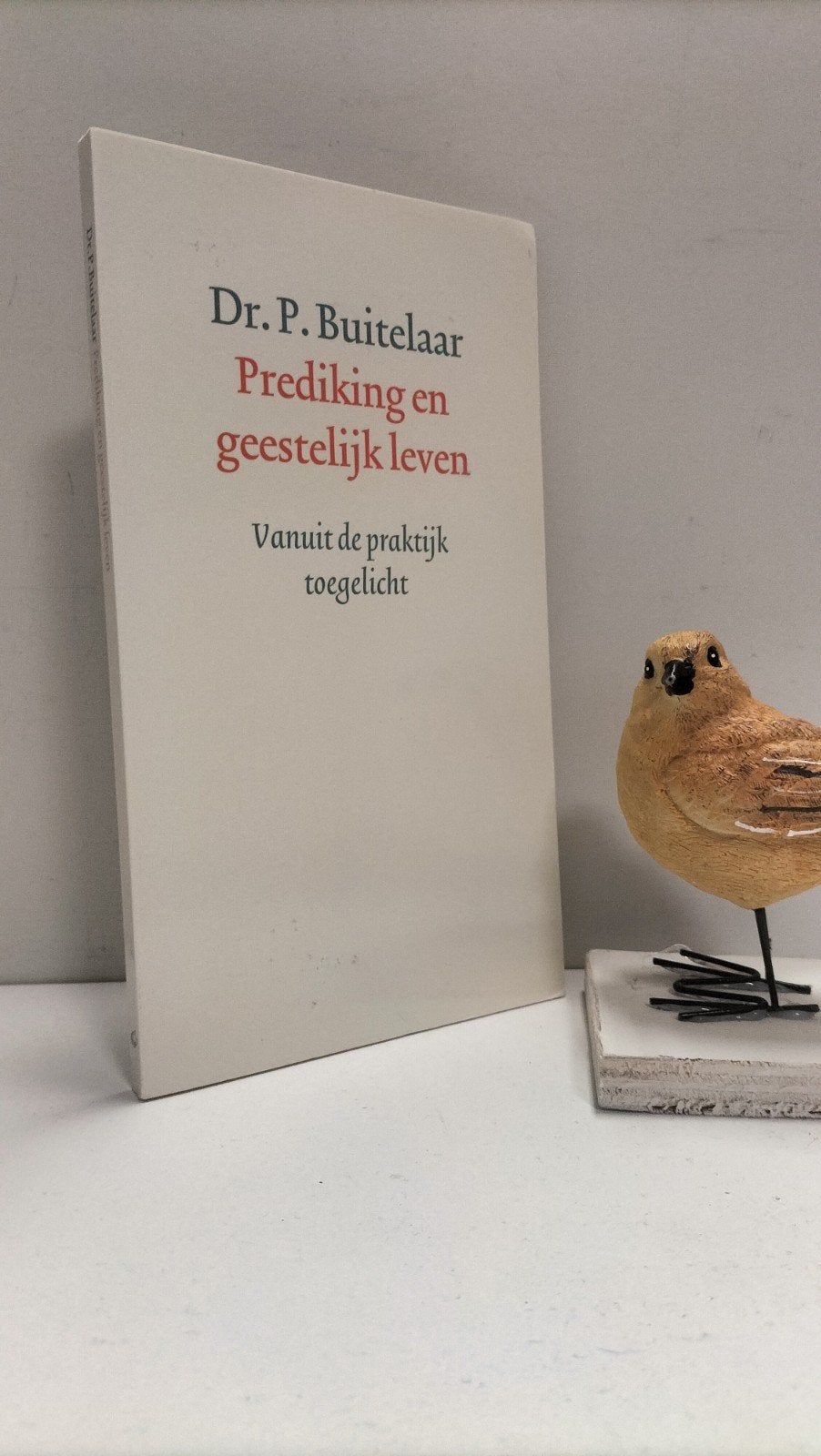 Buitelaar, Dr. P.; Prediking en geestelijk leven, Ophalen of Verzenden, Gelezen, Christendom | Protestants