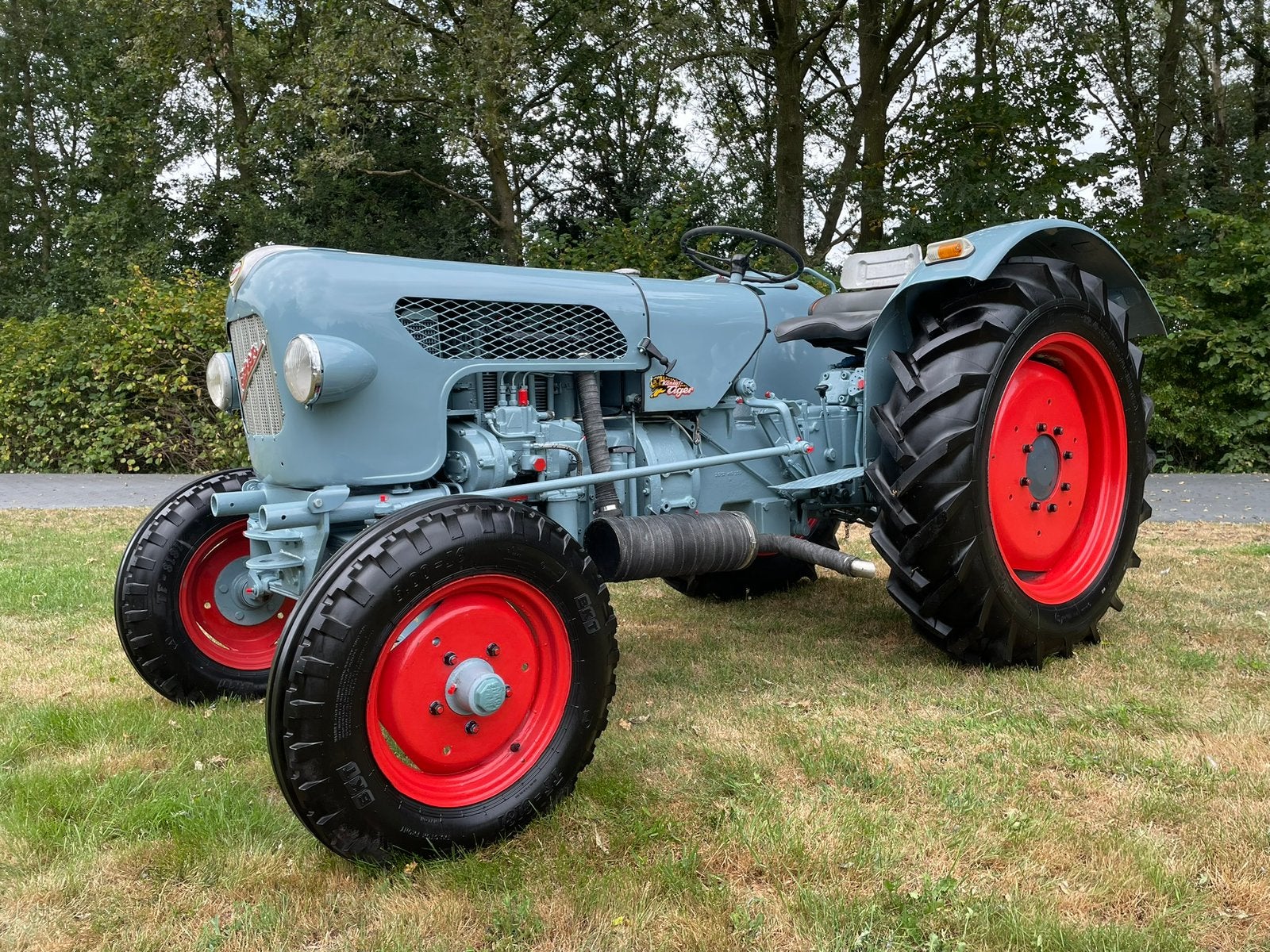 Eicher EM 300 Königstiger Oldtimer Tractor NIEUWSTAAT!, Zakelijke goederen, Agrarisch | Tractoren, Ophalen, Oldtimer, Tot 80 Pk