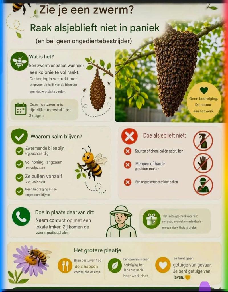 Bijenzwerm gespot? Wij halen gratis op., Bijen
