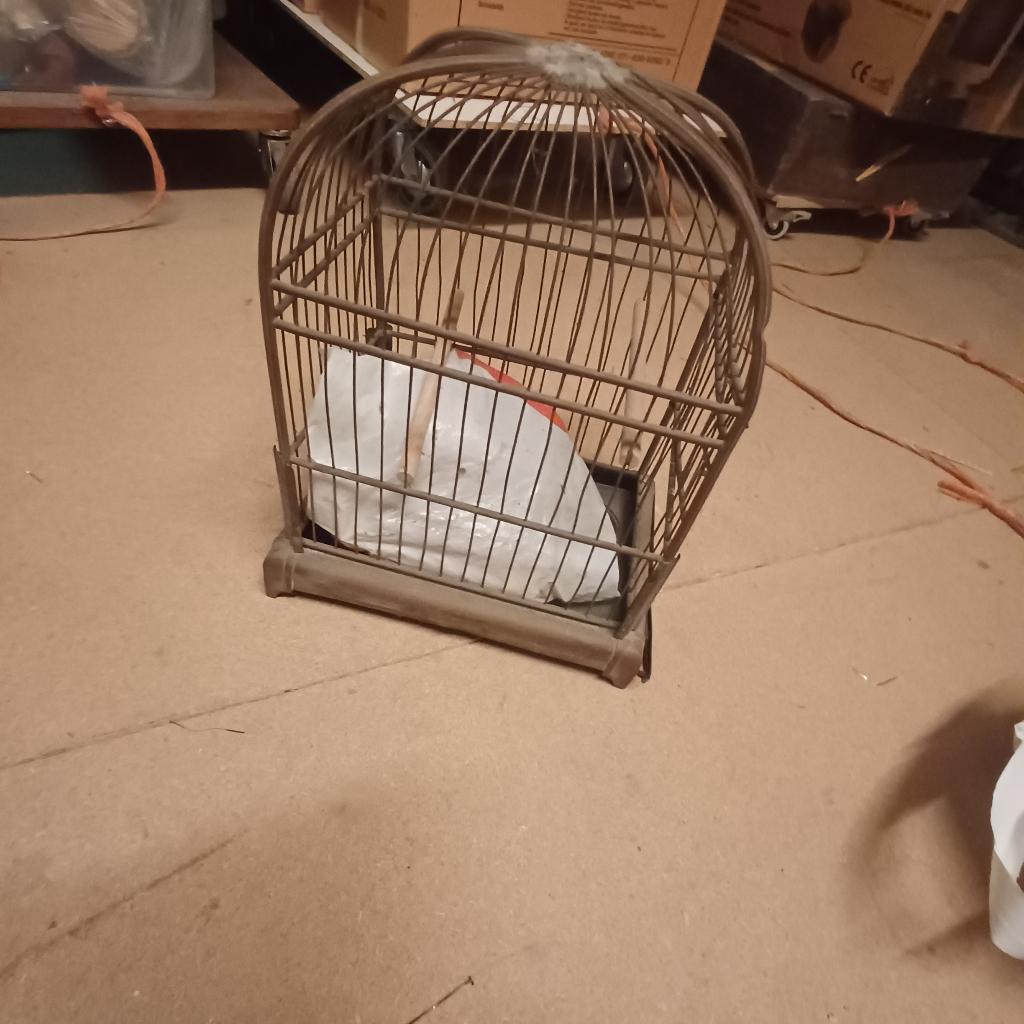 Antiek vogelkooi, Ophalen