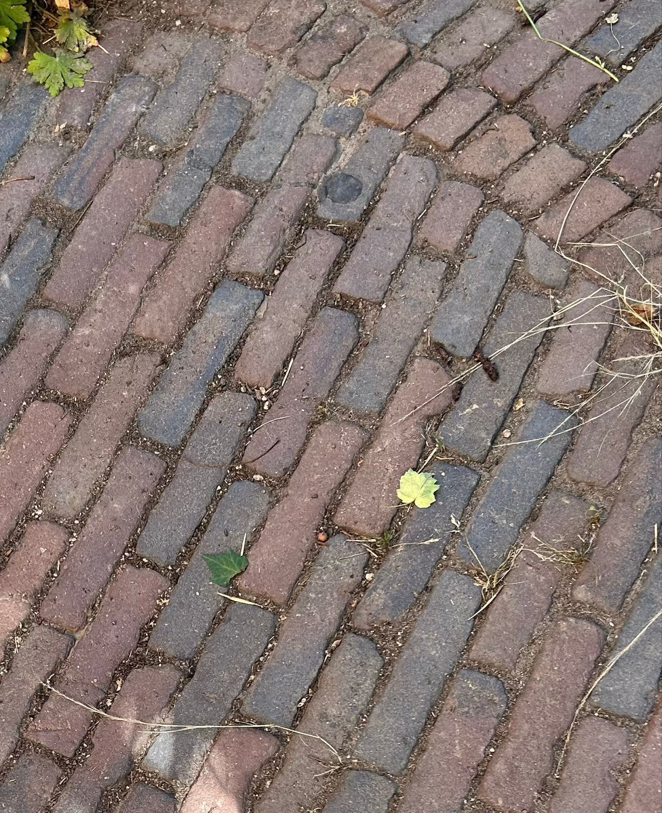 Gratis: Oude gebakken waaltjes rood-blauw (ca. 2m²), Tuin en Terras, Tegels en Klinkers, Ophalen, Gebruikt, Keramiek, Klinkers