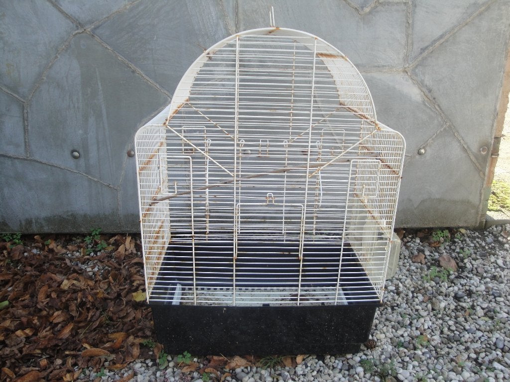 antieke vogelkooi, Antiek en Kunst, Curiosa en Brocante, Ophalen of Verzenden