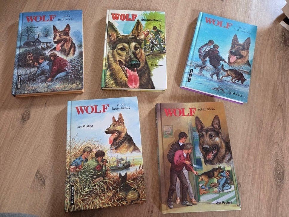 Wolf leesboeken, Boeken, Ophalen of Verzenden, Zo goed als nieuw, Jan Postma