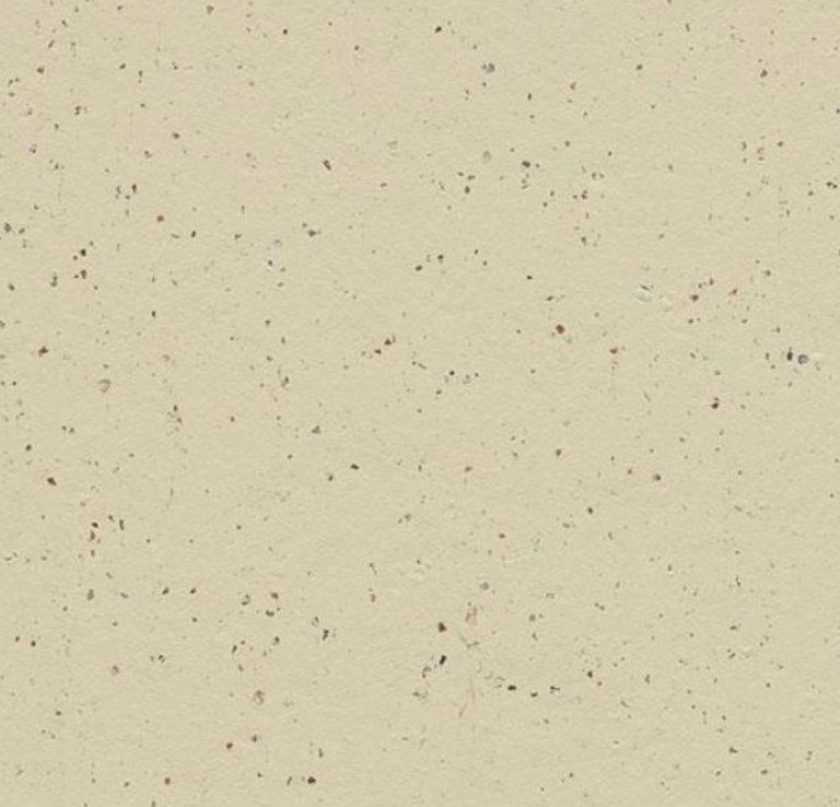 Vloer Forbo Marmoleum Cacao 3584 white chocolate 100m², Ophalen, Bruin, 75 m² of meer, Overige typen