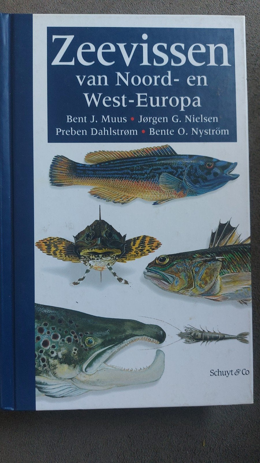 Zeevisgids Noord- en West-Europa  B J. Muus, Boeken, Ophalen of Verzenden, Zo goed als nieuw, Overige onderwerpen