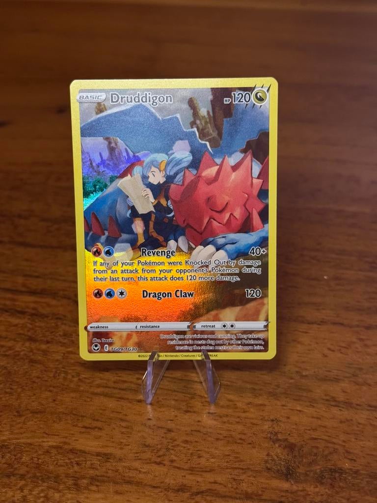 Druddigon (SIT TG09), Ophalen of Verzenden, Nieuw