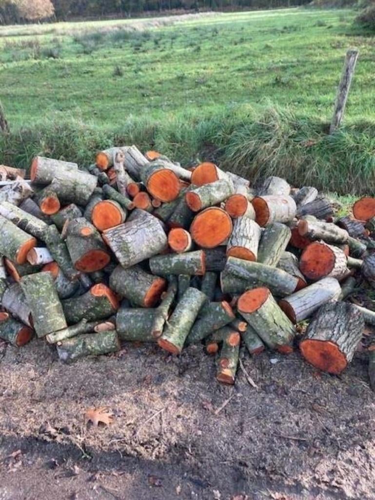 haardhout wilgen berken elzen, Tuin en Terras, Haardhout, Minder dan 3 m³, Ophalen of Verzenden, Overige houtsoorten