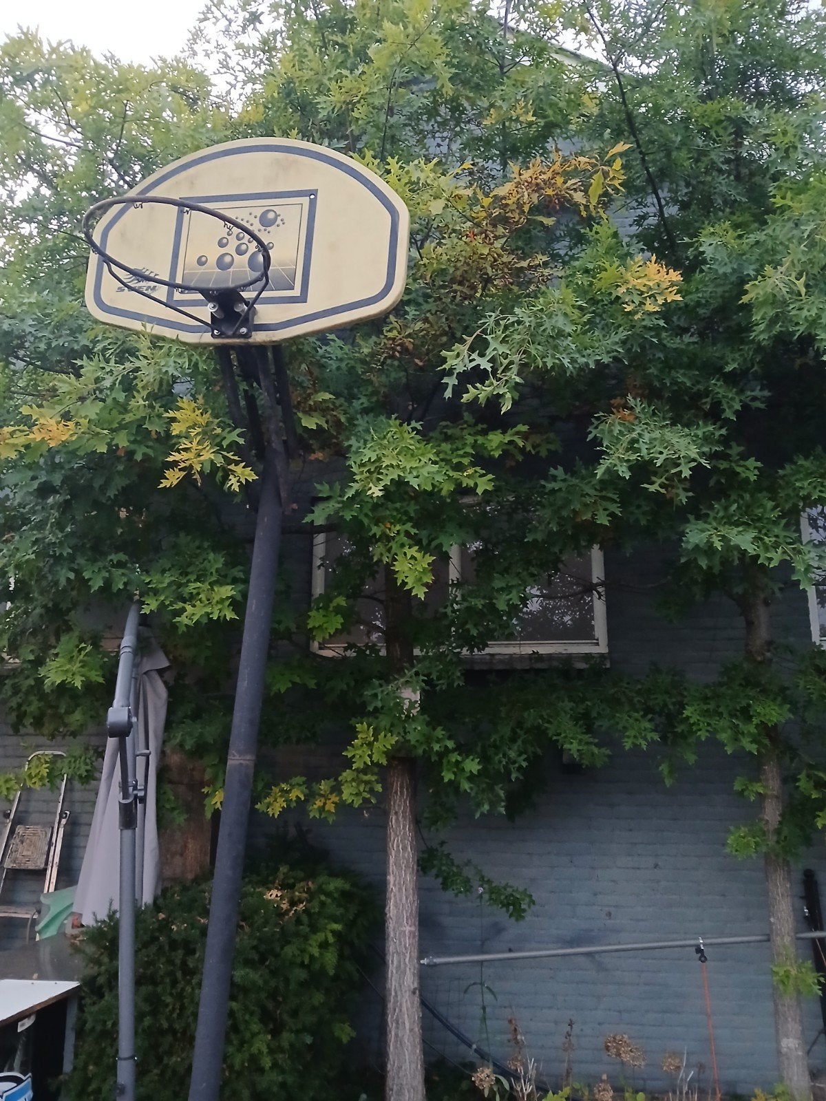 Gebruikte basketbalpaal met verstelbaar  bord en standaard, Ophalen, Gebruikt