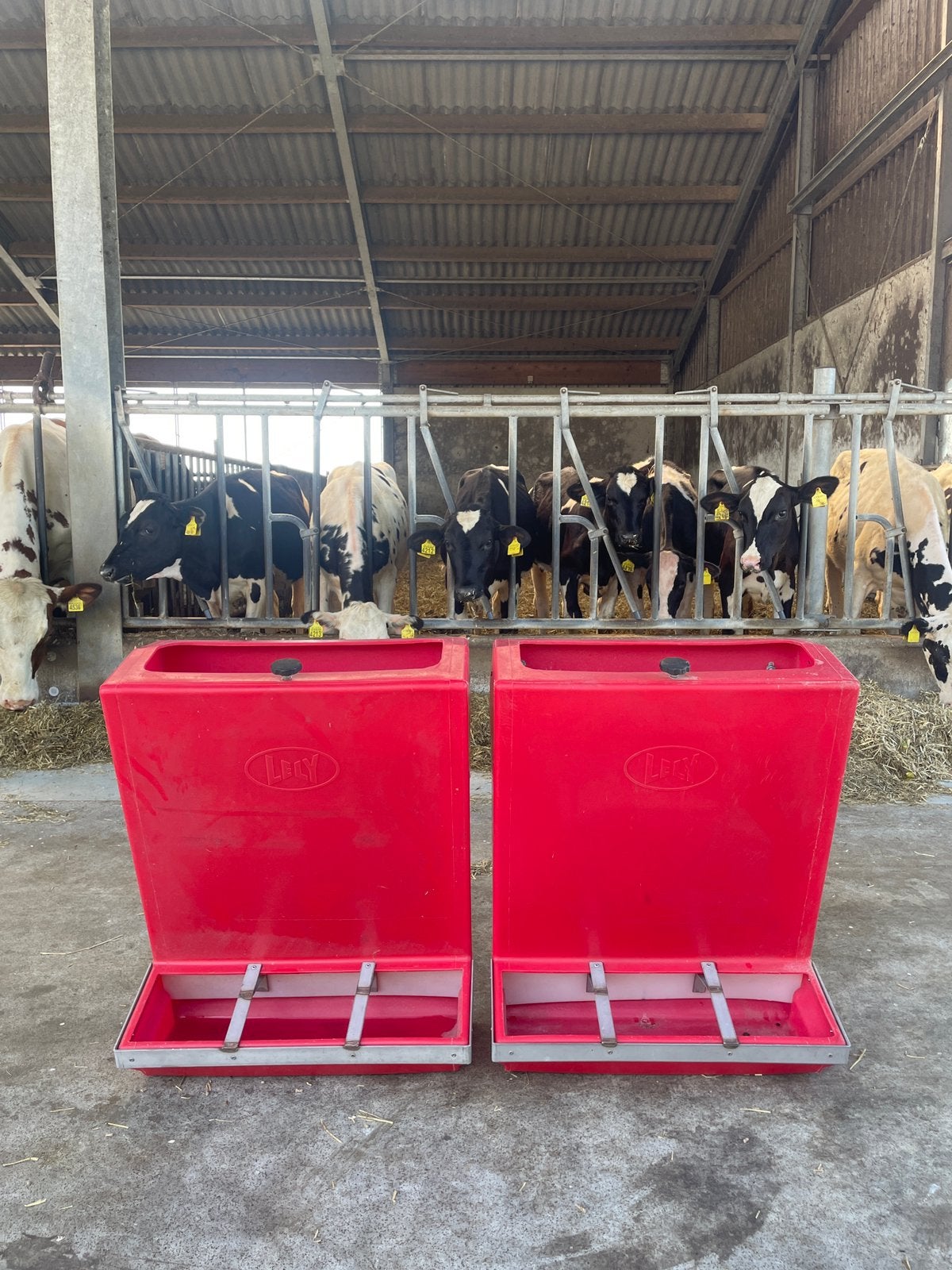 Lely schapen-en kalveren voerbakken, Dieren en Toebehoren, Stalling en Weidegang