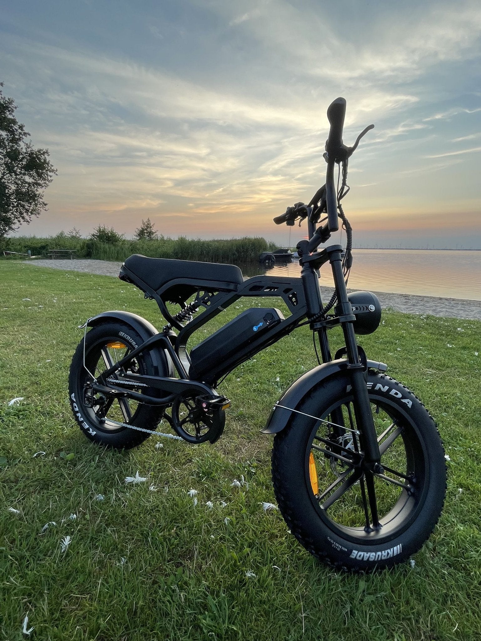 V20 PRO FATBIKE  - 25KM/U - NIEUW - GARANTIE, Overige merken, -, -, Nieuw
