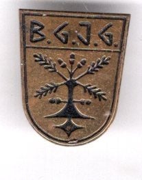 B.G.J.G. zilverkleurig broche ( P_274), Verzenden, Zo goed als nieuw, Stad of Land, Speldje of Pin