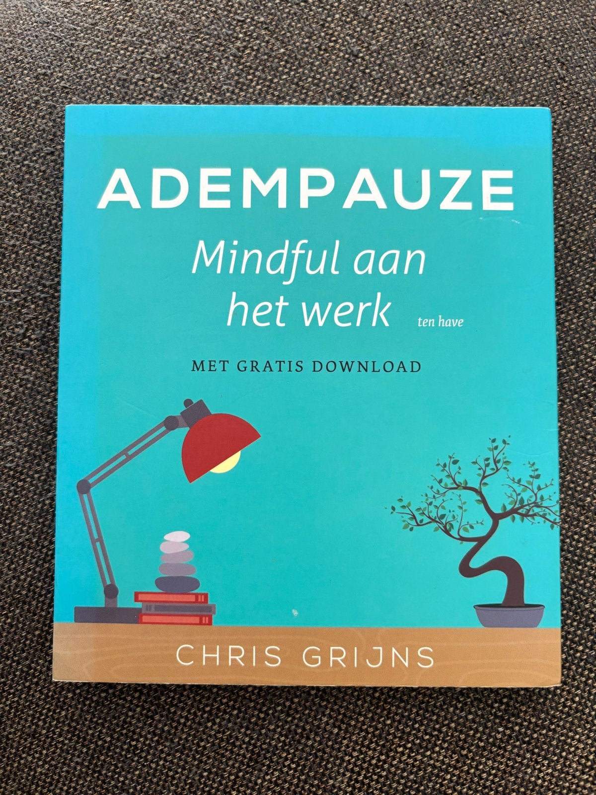 Adempauze: Mindful aan het werk - Chris Grijns, Boeken, Gezondheid, Dieet en Voeding, Ophalen of Verzenden, Gelezen, Gezondheid en Conditie