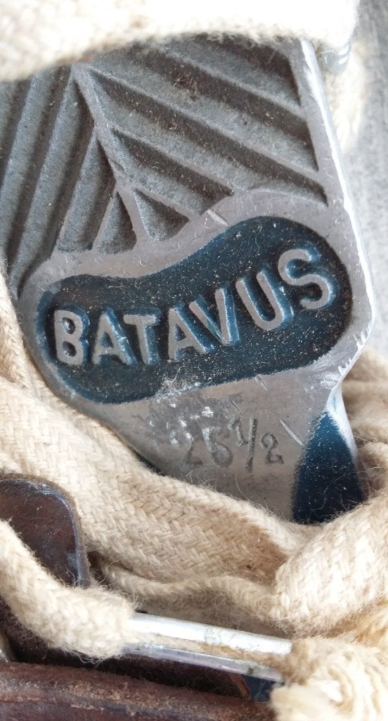 1930 BATAVUS Friesland Schaatsen Heerenveen Andries Gaastra, Antiek en Kunst, Ophalen of Verzenden