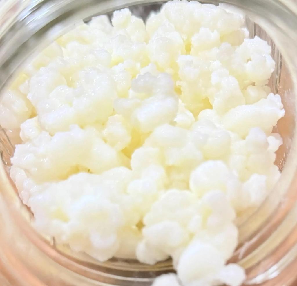 Lekker actieve melkkefir korrels, Diversen, Levensmiddelen, Ophalen of Verzenden