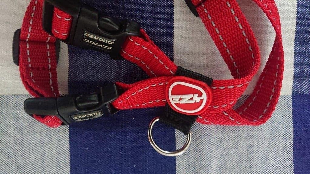 EzyDog Hondentuigje – Rood, Maat S – Veilig voor in de auto!, Ophalen of Verzenden, Zo goed als nieuw, Hondenriem-accessoire