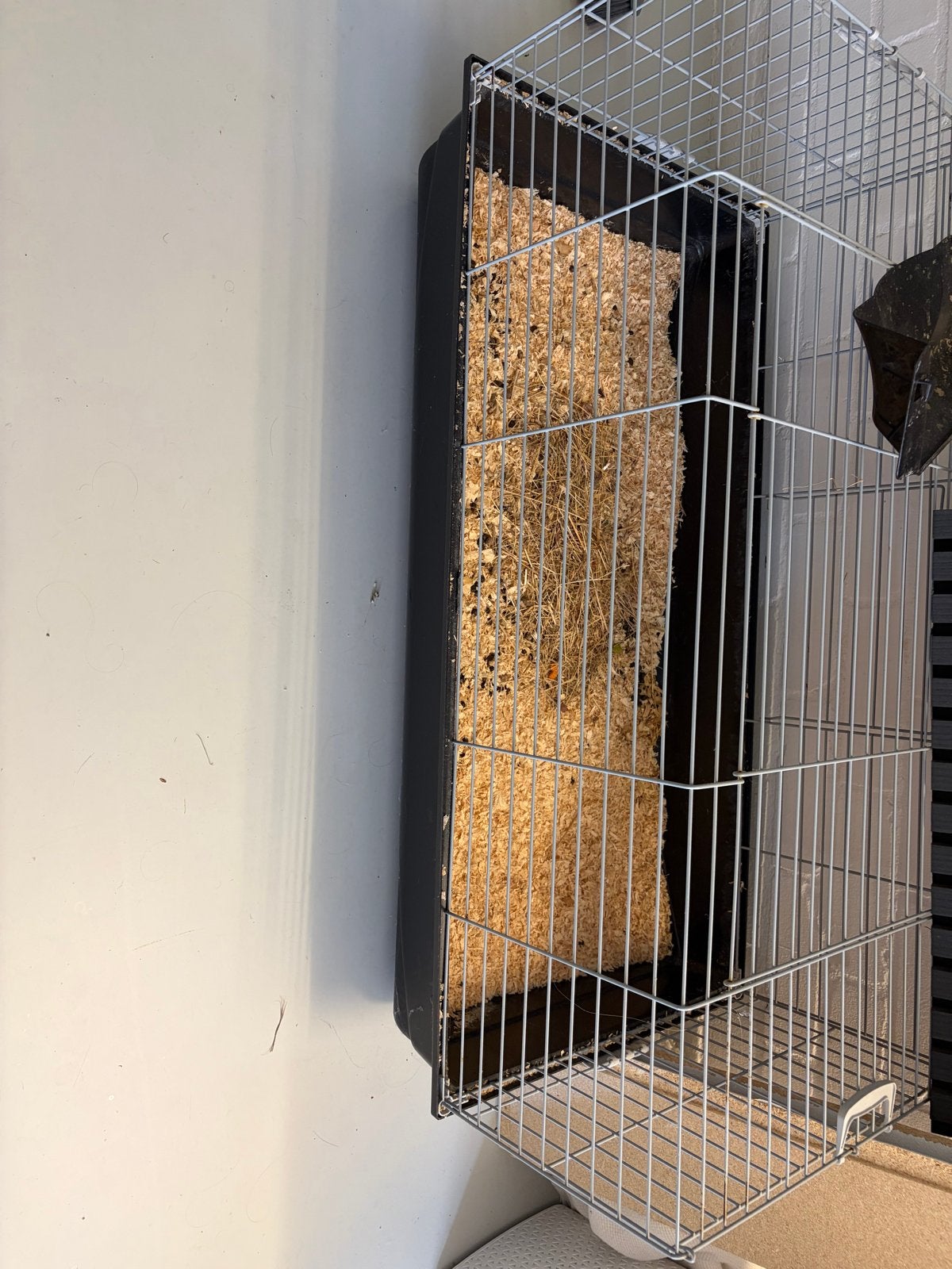 Konijnenhok, Ophalen, Nieuw, Overige typen