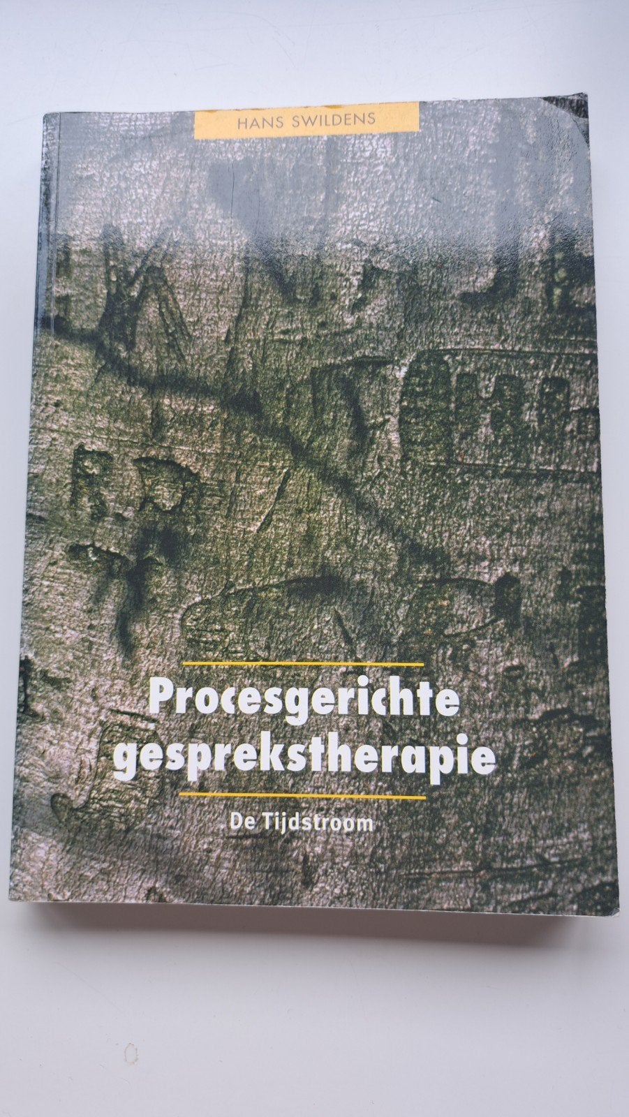 Procesgerichte gesprekstherapie - Hans Swildens, Boeken, Ophalen of Verzenden, Gelezen, Klinische psychologie, Hans Swildens