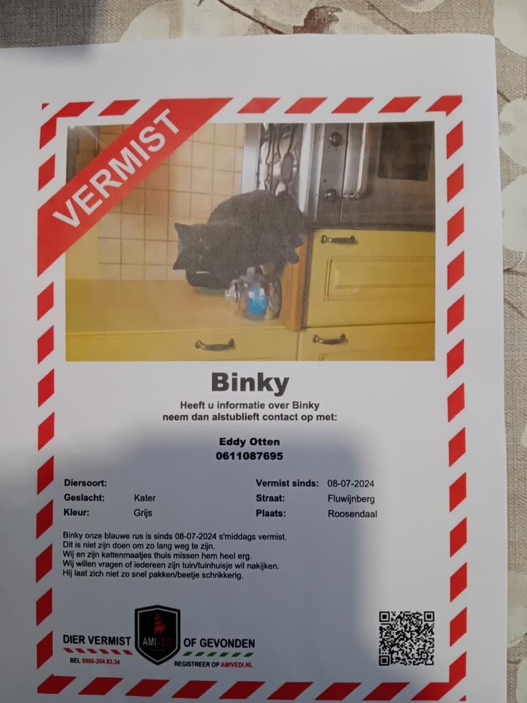Vermissing Binky, Dieren en Toebehoren, Vermiste en Gevonden Dieren, Kat