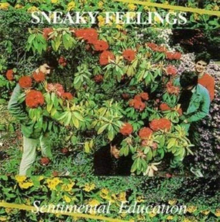 CD: Sneaky Feelings – Sentimental Education, Ophalen of Verzenden, Zo goed als nieuw, Poprock