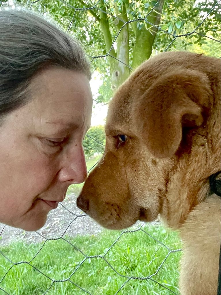 Orina zoekt baasje, Dieren en Toebehoren, Particulier, 15 weken tot 1 jaar, Buitenland, Teef