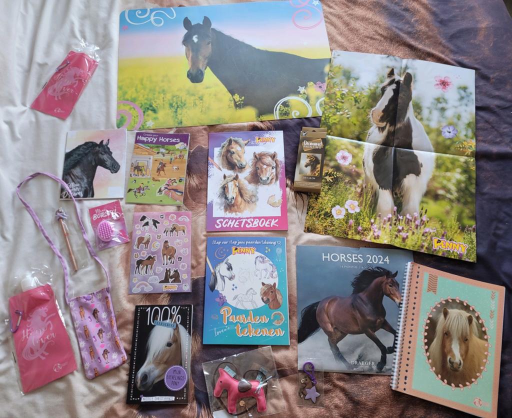 Leuk paarden / pony pakket bijna alles nieuw!, Ophalen of Verzenden, Nieuw, Meisje