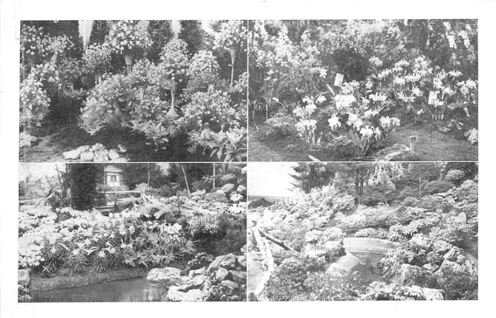 381-237-013 Floralies Gantoises, Verzenden, Voor 1920, Overig Europa