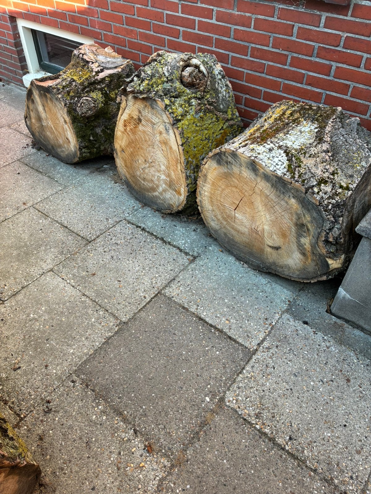 Haardhout stammen, Tuin en Terras, Haardhout, Minder dan 3 m³, Ophalen