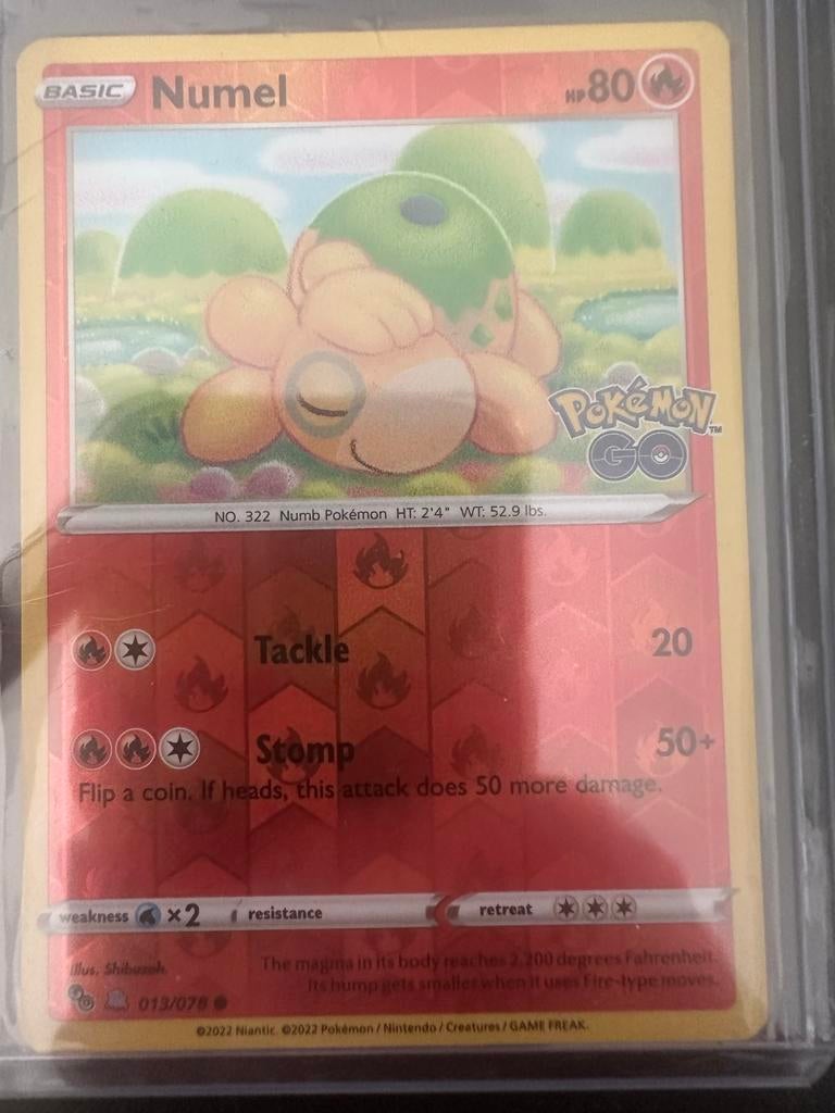 Numel peelable ditto Pokémon kaart, Ophalen of Verzenden, Nieuw, Losse kaart