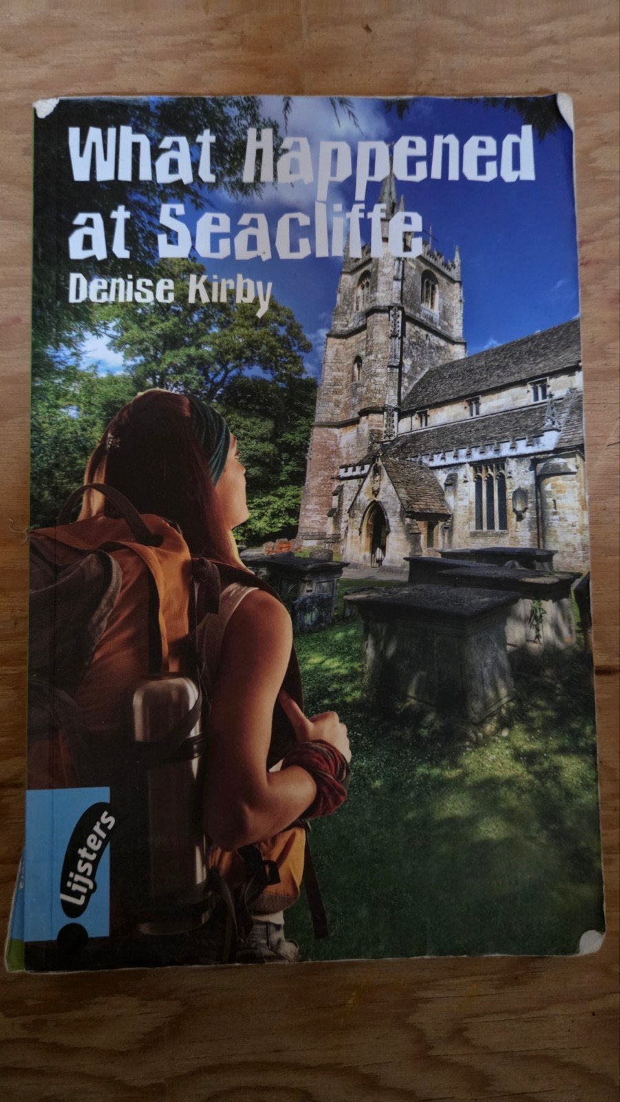 What Happened at Seacliffe - Denise Kirby (Engels), Boeken, Ophalen of Verzenden, Gelezen, Denise Kirby, Europa overig