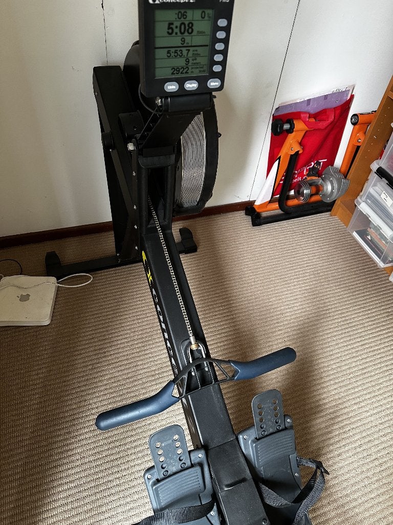 Concept2 model D PM5 roeimachine