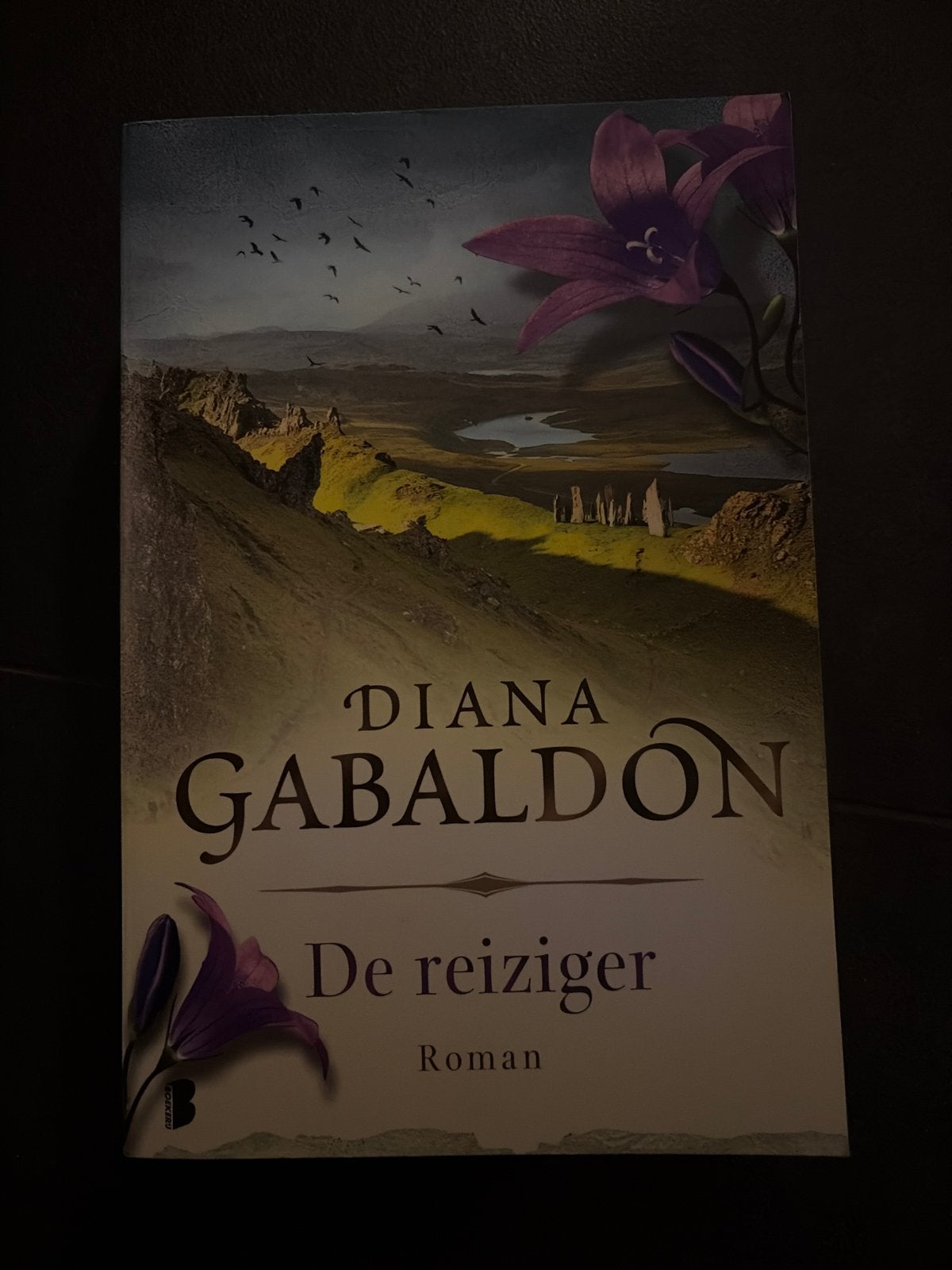 Diana Gabaldon - De reiziger (Roman), Ophalen of Verzenden, Zo goed als nieuw