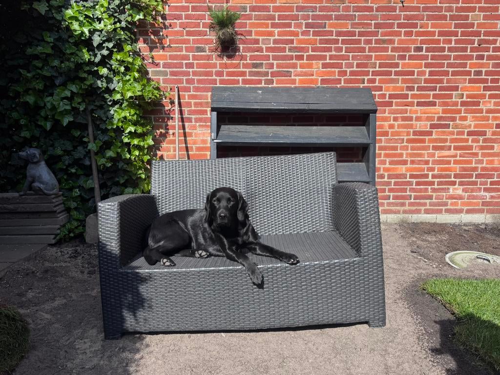 B7 club tuinbankje, Tuin en Terras, Ophalen, Zo goed als nieuw, Hout
