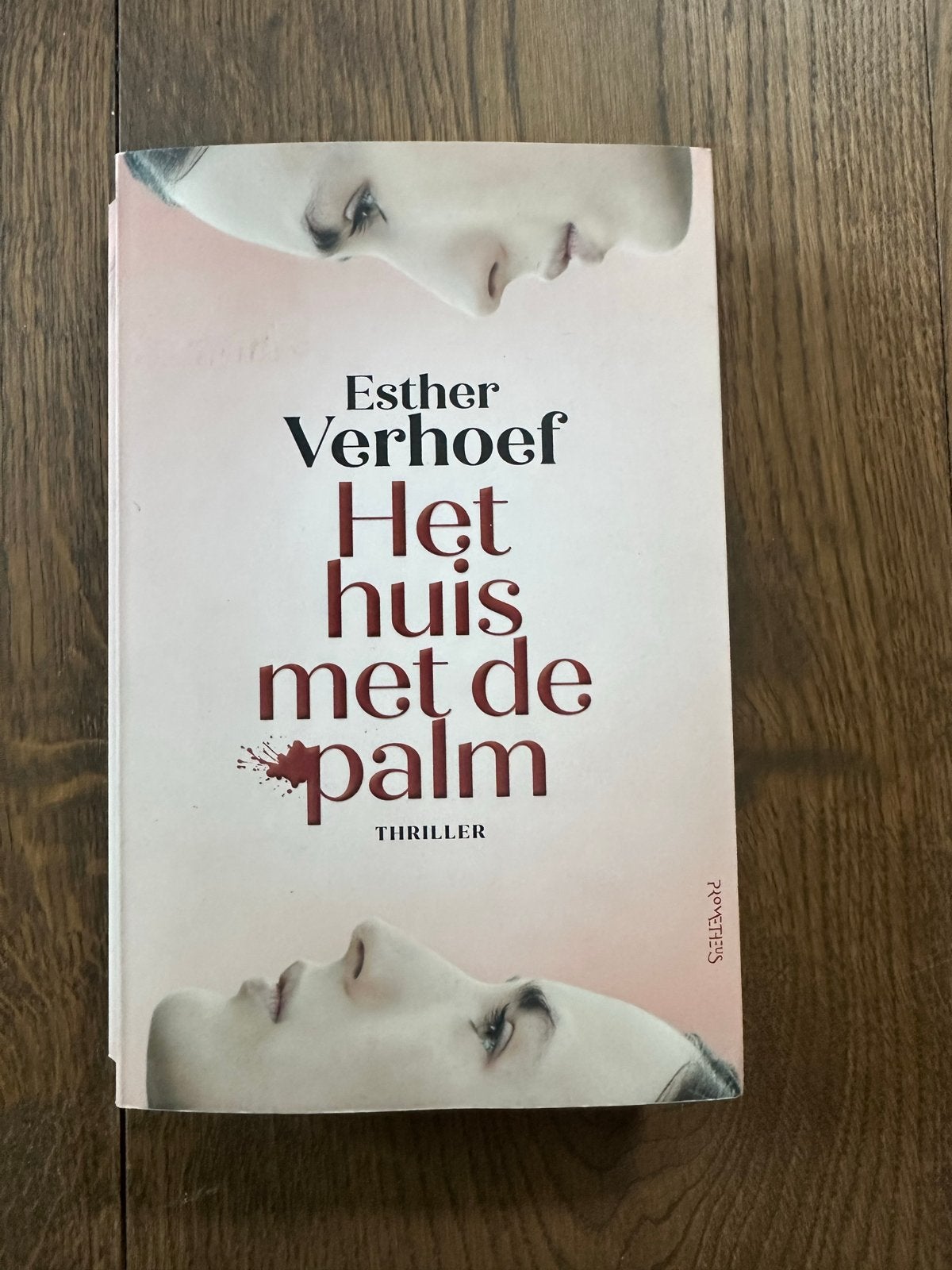 Esther Verhoef - Het huis met de palm (Thriller), Boeken, Ophalen of Verzenden, Gelezen, Nederland