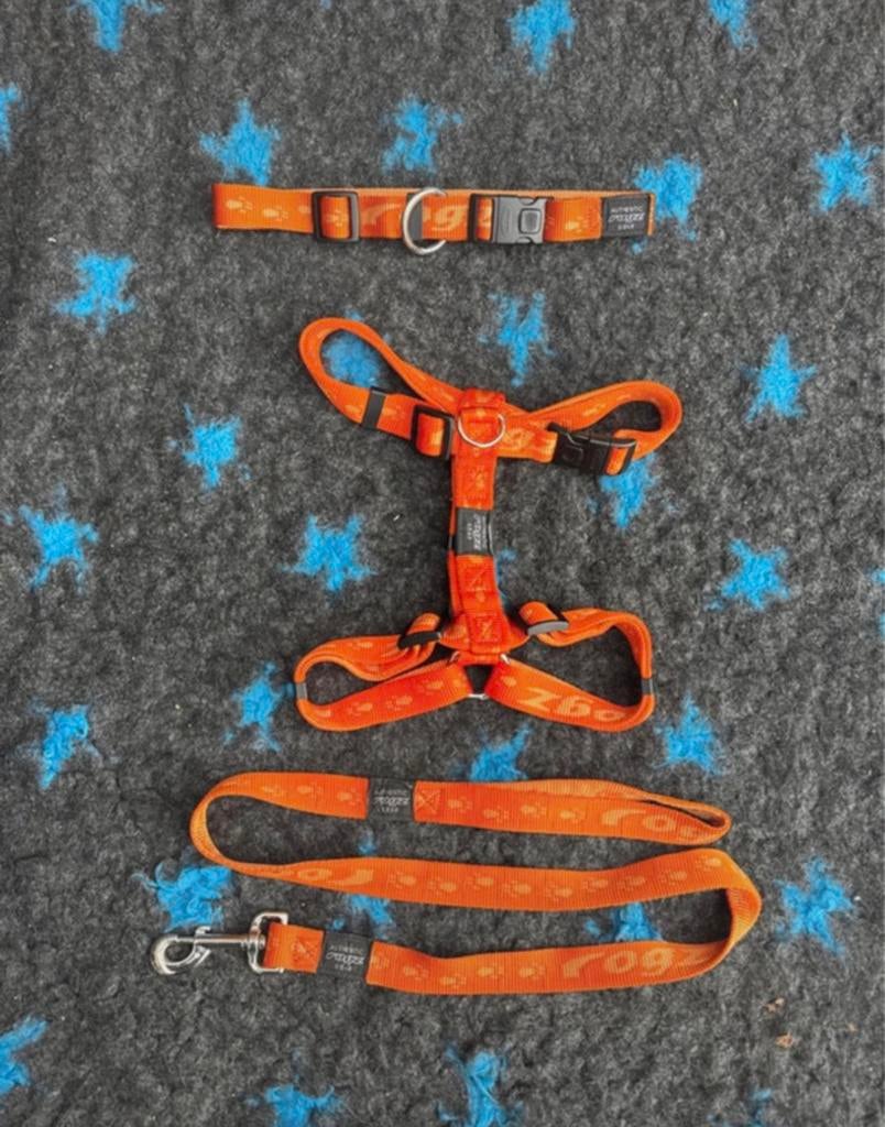 Rogz alpinist set oranje XL, Ophalen of Verzenden, Zo goed als nieuw