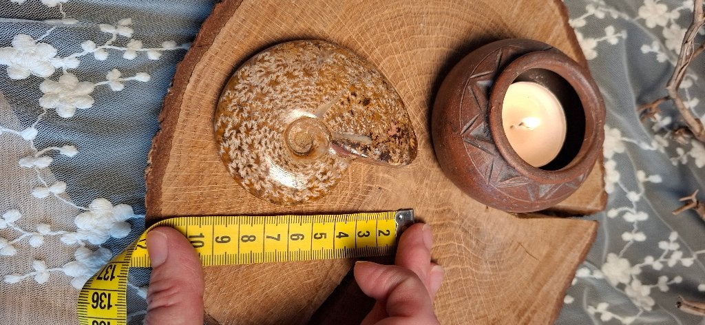 Grote Gepolijste Ammoniet (Fossiel)9,5 cm Unieke Patronen, Ophalen of Verzenden, Fossiel