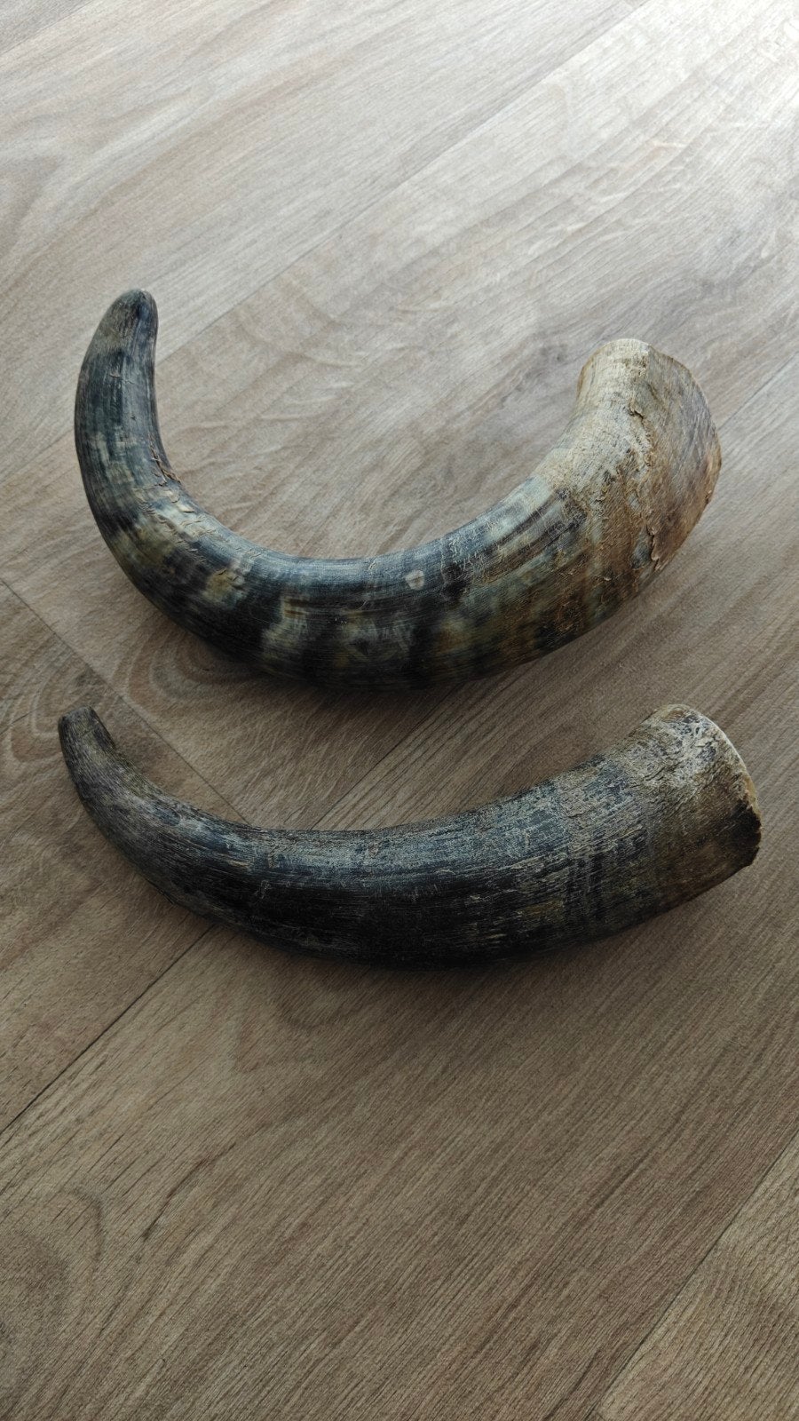 Hoorns, 2 stuks, Ophalen of Verzenden