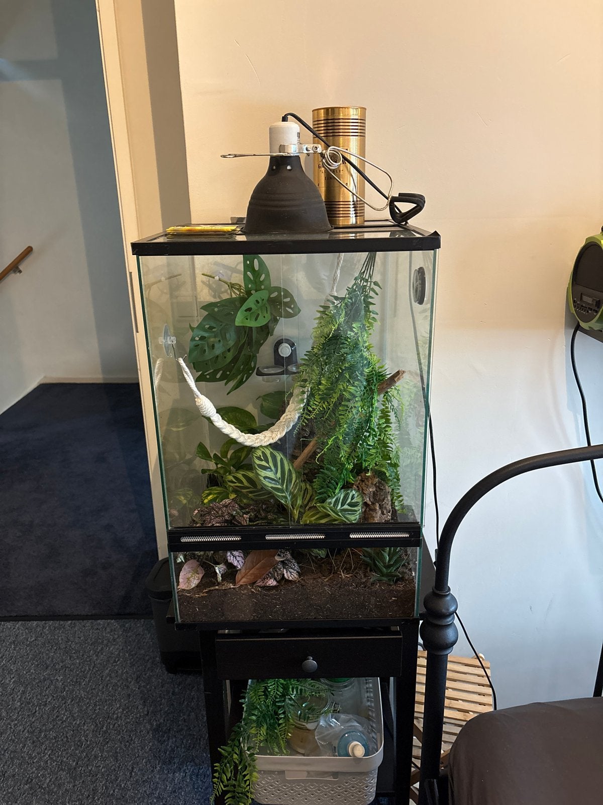 Terrarium 40x40x60, Ophalen of Verzenden