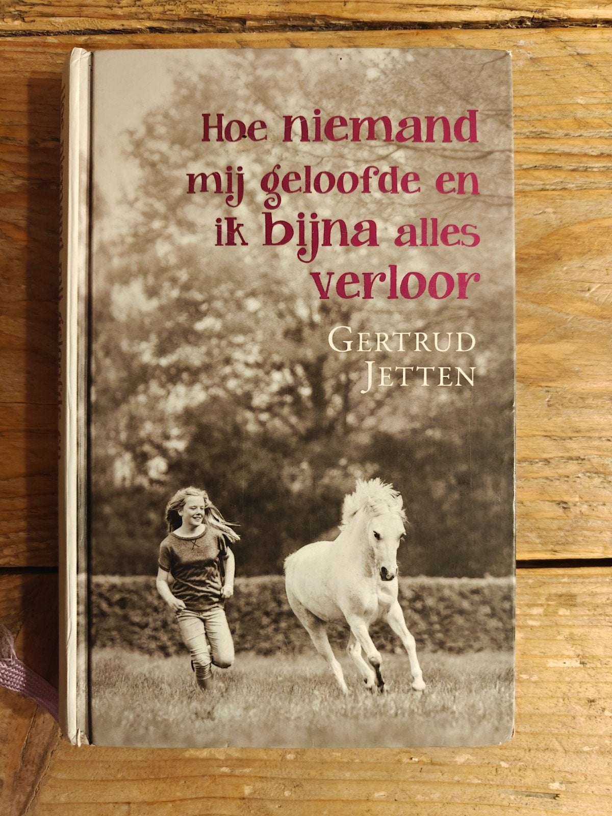 Hoe niemand mij geloofde en ik bijna alles verloor., Ophalen of Verzenden, Zo goed als nieuw