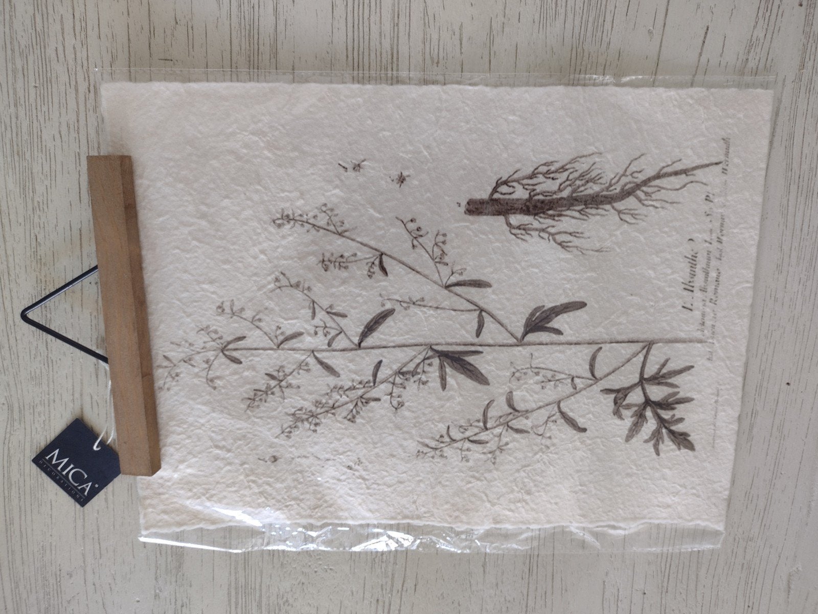 Botanische print op handgeschept papier met houten houder, Minder dan 50 cm, Nieuw, Ophalen of Verzenden, Print