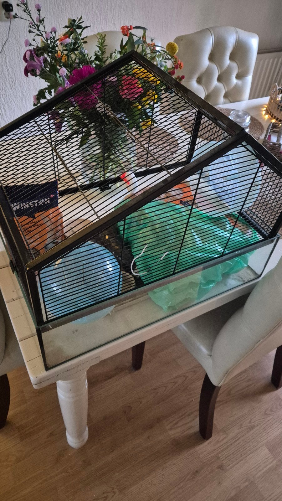 hamsterkooi, Ophalen of Verzenden, Hamster