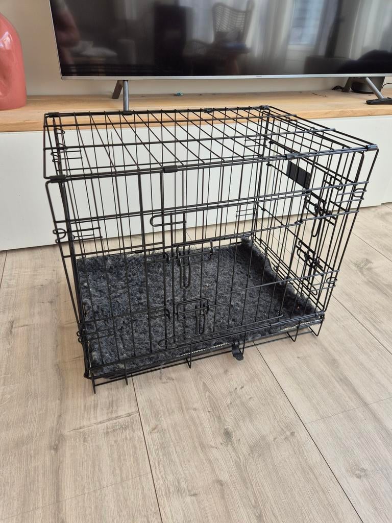 Bench hond puppy, Dieren en Toebehoren, Ophalen, Zo goed als nieuw