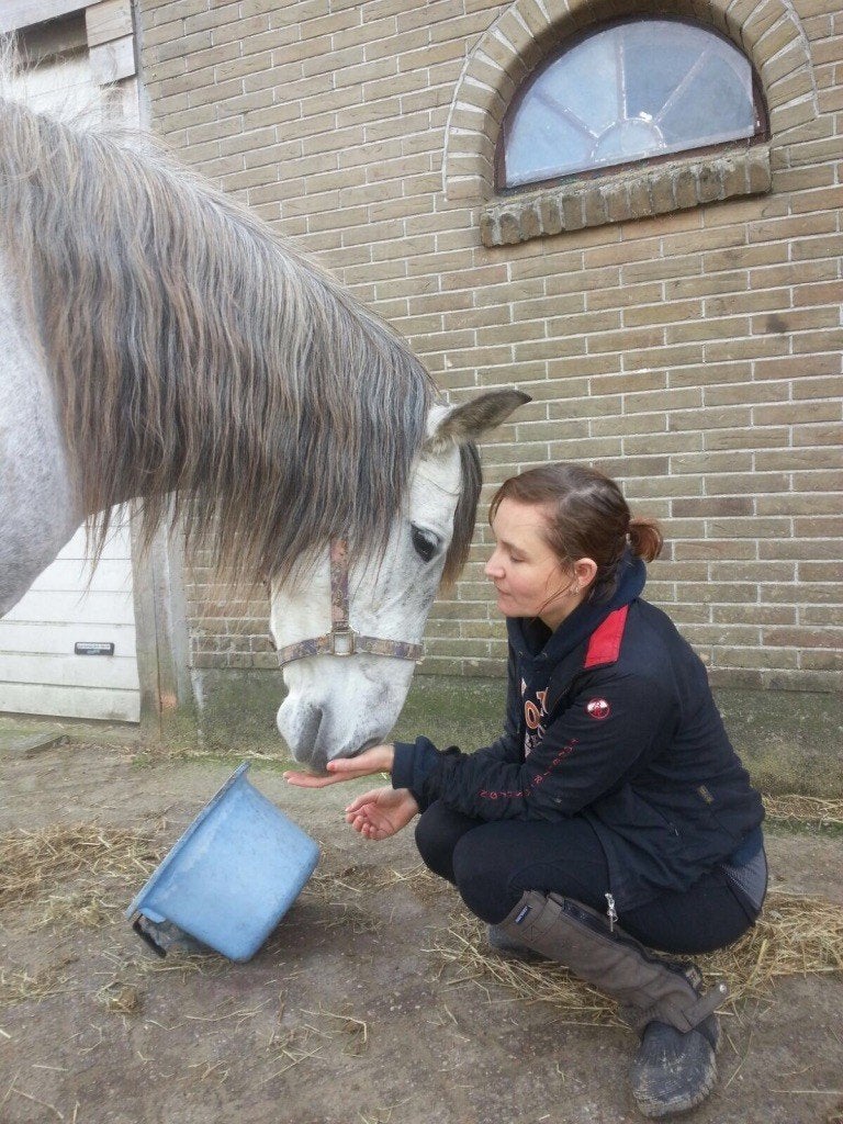 Gezocht: Verzorg(st)er omgeving Haarlem/Heemstede, Dieren en Toebehoren, Ophalen, Zo goed als nieuw, Recreatie