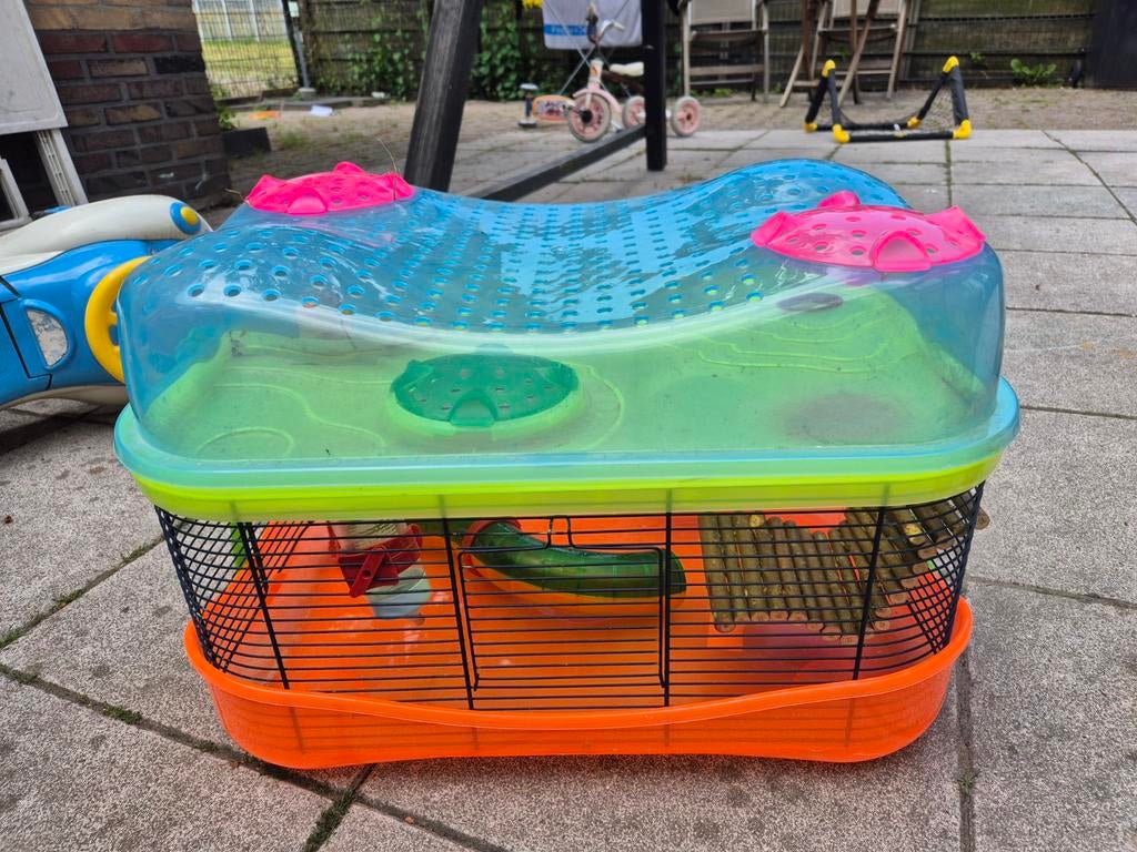 Hamsterkooi 2 lagen, Dieren en Toebehoren, Knaagdieren en Konijnen | Hokken en Kooien, Kooi, Gebruikt, Minder dan 75 cm, Hamster