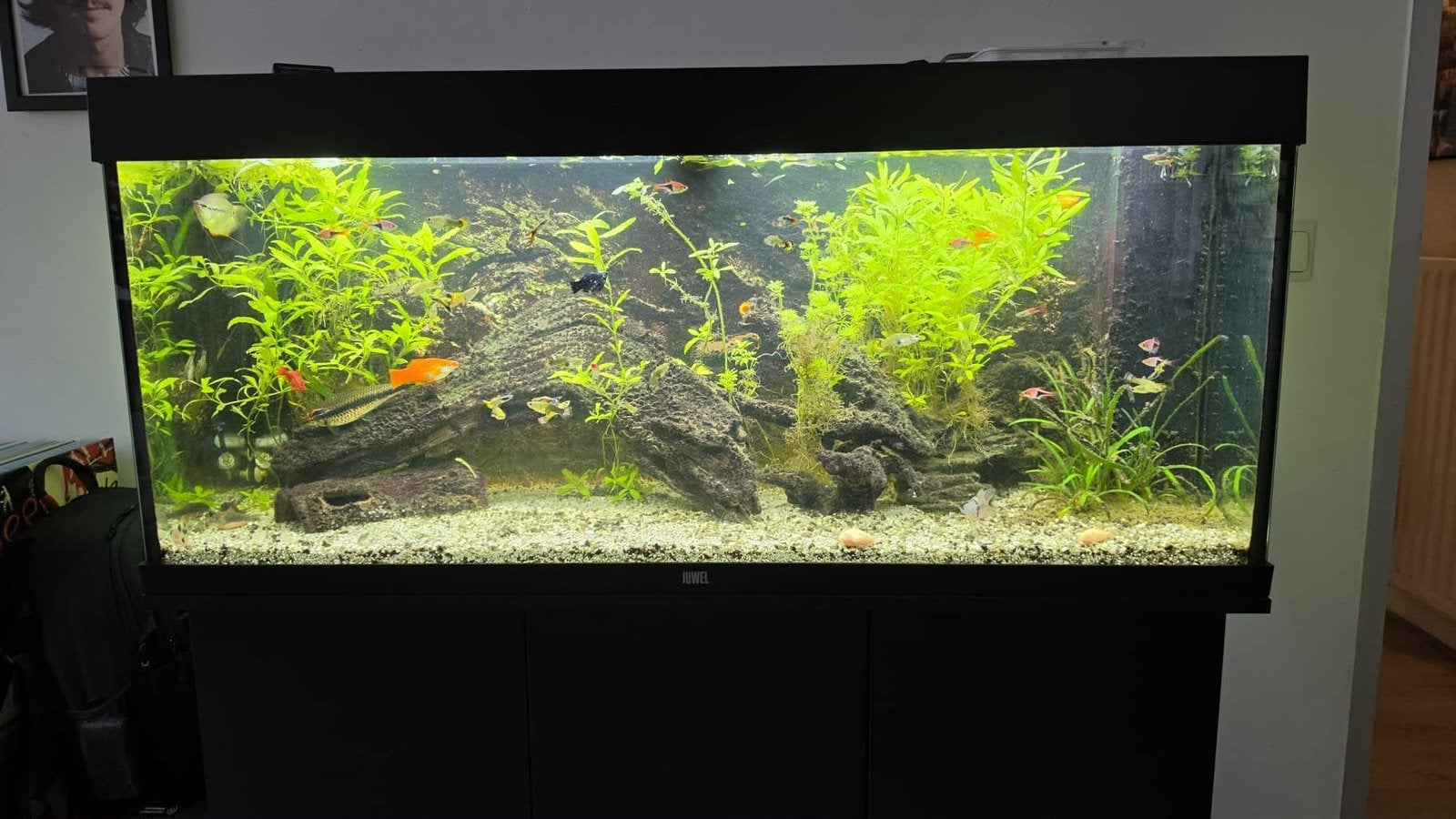 Juwel Aquarium 121/ 55, Ophalen, Verwarming, Zo goed als nieuw, Leeg aquarium