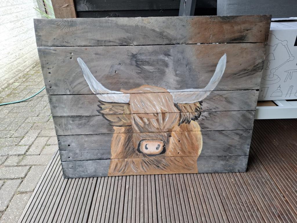 Schilderij Schotse hooglander, Ophalen, 200 cm of meer, 75 cm of meer