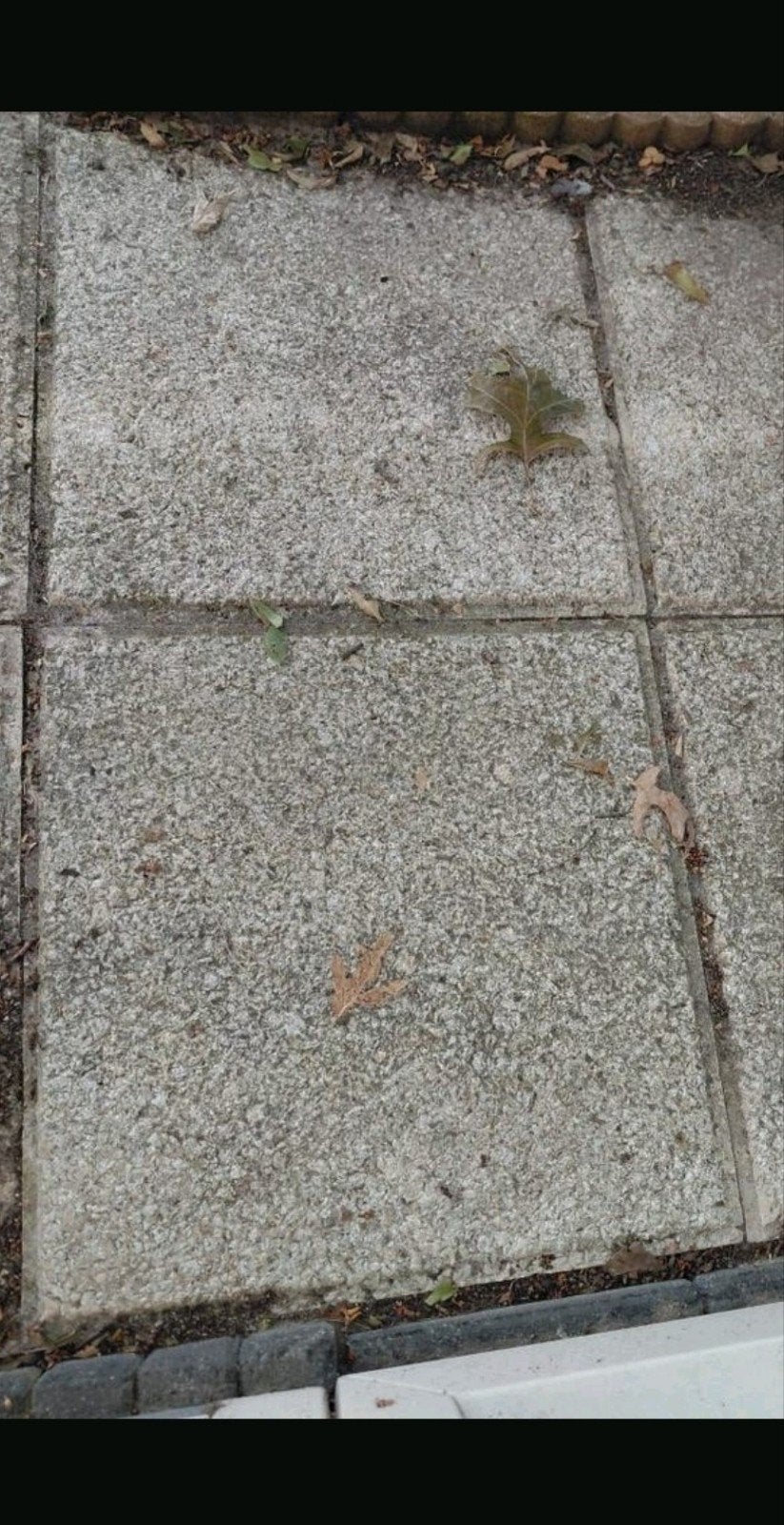 Tuintegels 40x40 cm (ruw, anti-slip) - ca. 40 stuks, Tuin en Terras, Tegels en Klinkers, Ophalen