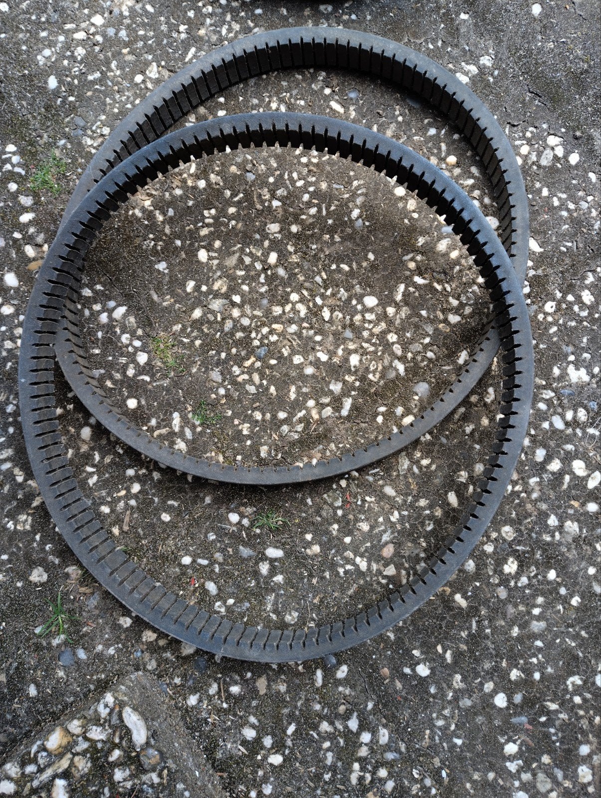 Originele aandrijfriemen DAF 600/750/30/33- in goede staat., Ophalen of Verzenden, Nieuw, Universele onderdelen